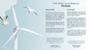 Preview of the Vestas Case Study