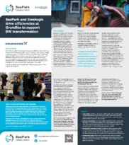 Preview of the Grundfos Case Study