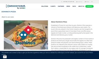 Preview of the Domino's Pizza Case Study