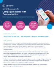 Preview of the Retail Bank Case Study