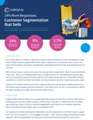 Preview of the Large Online Retailer Case Study