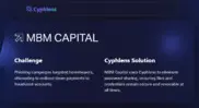 Preview of the MBM Capital Case Study