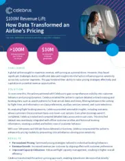 Preview of the Global Airline Company Case Study