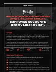 Preview of the Media Tech Company Case Study