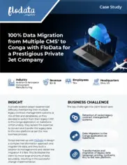 Preview of the Prestigious Private Jet Company Case Study