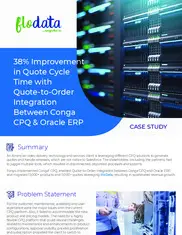 Preview of the American Video Delivery Technology and Services Provider Case Study