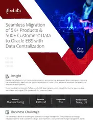 Preview of the Global Ice Chests Drink Manufacturer Case Study