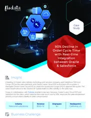 Preview of the Leading Us-based Video Delivery Technology and Services Company Case Study