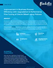 Preview of the American Video Delivery Technology and Services Business Case Study