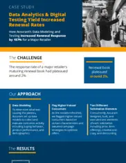 Preview of the Major Retail Chain Case Study