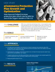 Preview of the Large Retailer Company Case Study