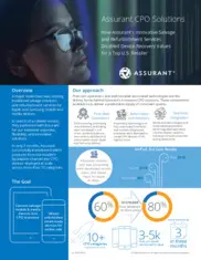 Preview of the Top U.S. Retailer Case Study