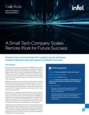 Preview of the Prowess Consulting LLC Case Study