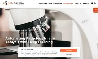 Preview of the Leading Danish Pharmaceutical Company Case Study