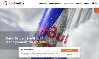 Preview of the Red Bull Case Study