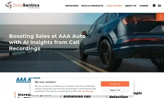 Preview of the AAA Auto Case Study