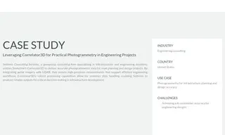 Preview of the Settimio Consulting Services Case Study