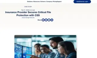 Preview of the Leading Financial Insurance Provider Case Study