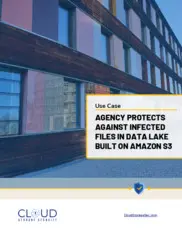 Preview of the Public Sector Agency Case Study