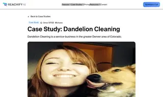 Preview of the Dandelion Cleaning Case Study