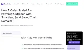 Preview of the A-Sales Case Study