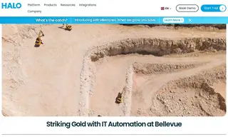 Preview of the Bellevue Gold Case Study