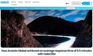 Preview of the Amesto Global Case Study