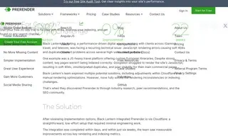 Preview of the Black Lantern Marketing Case Study