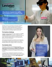 Preview of the Leviatan Group Case Study