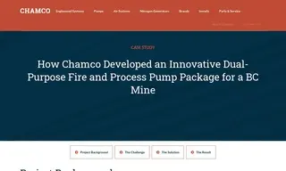 Preview of the Leading Mine Company Case Study