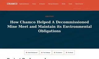 Preview of the Large Mine Company Case Study