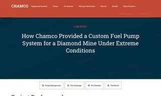 Preview of the Leading Mine Company Case Study