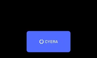 Preview of the Cyera Case Study