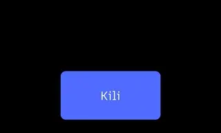 Preview of the Kili Case Study