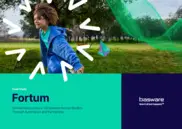Preview of the Fortum Case Study