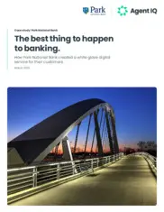Preview of the Park National Bank Case Study