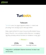 Preview of the Turicoin Case Study