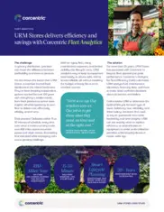 Preview of the URM Stores Inc. Case Study