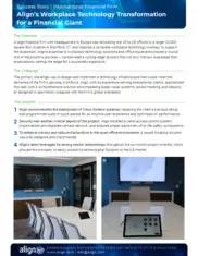 Preview of the Large Financial Firm Case Study