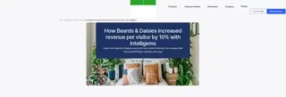 Preview of the Beards & Daisies Case Study