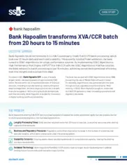 Preview of the Bank Hapoalim Case Study