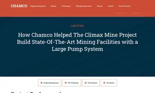 Preview of the Large Mining Company Case Study