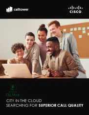 Preview of the City of Del Mar Case Study