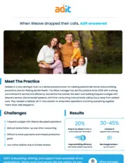 Preview of the Michigan Town Case Study