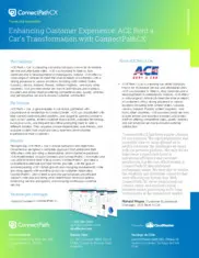 Preview of the ACE Rent A Car Case Study