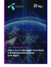 Preview of the Telenor Case Study