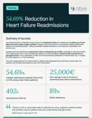 Preview of the Hospital de Dénia Case Study