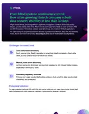 Preview of the Fast-Growing Fintech Company Case Study