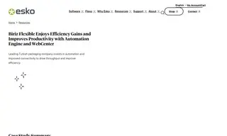 Preview of the Biriz Flexible Case Study