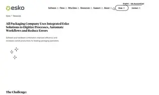 Preview of the All Packaging Company Case Study